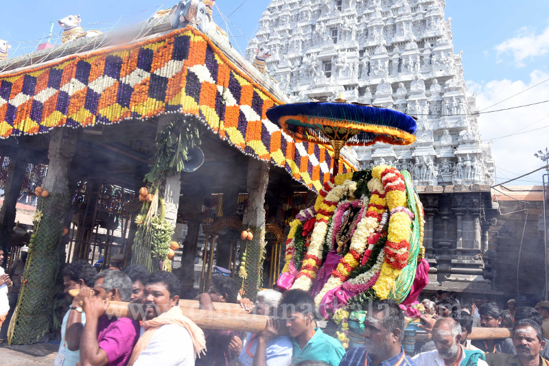 Theerthavari performed at Thiruvannamalai temple