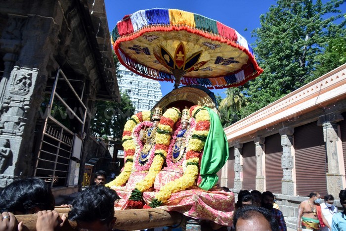 Karthigai Deepam Festival 2020 – Day 8 (Morning)