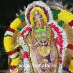 மாணிக்கவாசகர் உற்சவம்