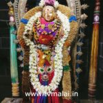 மாணிக்கவாசகர் உற்சவம்