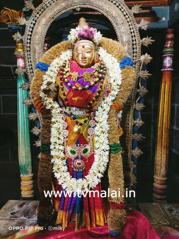 மாணிக்கவாசகர் உற்சவம்