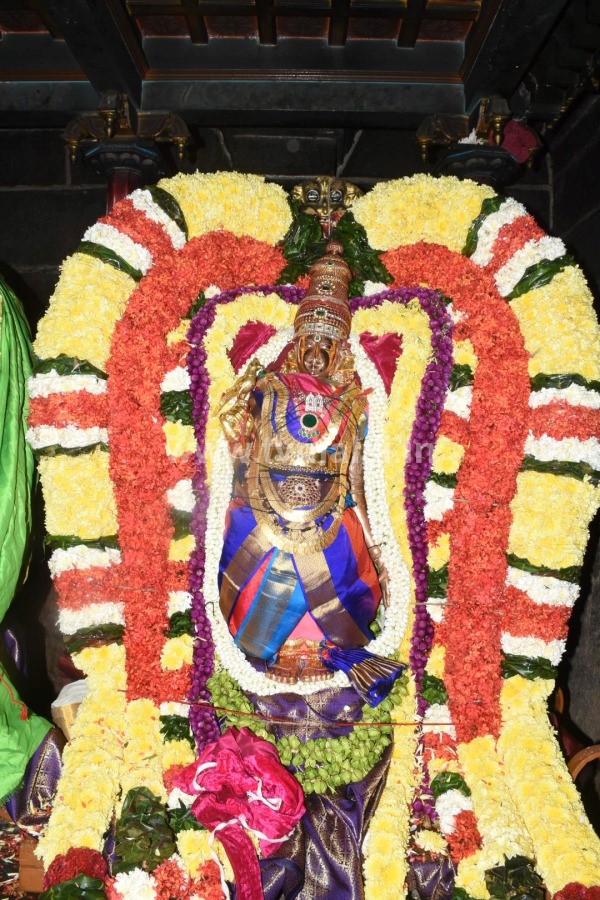 திருவண்ணாமலை அருள்மிகு ஶ்ரீ அருணாச்சலேஸ்வரர் திருக்கோயில் - திருவூடல் உற்சவம் 2022!