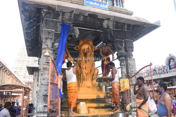 திருவண்ணாமலையில் அருணாச்சலேஸ்வரர் திருக்கோயில் மாசி மாத பௌர்ணமி பிரதோஷம்!