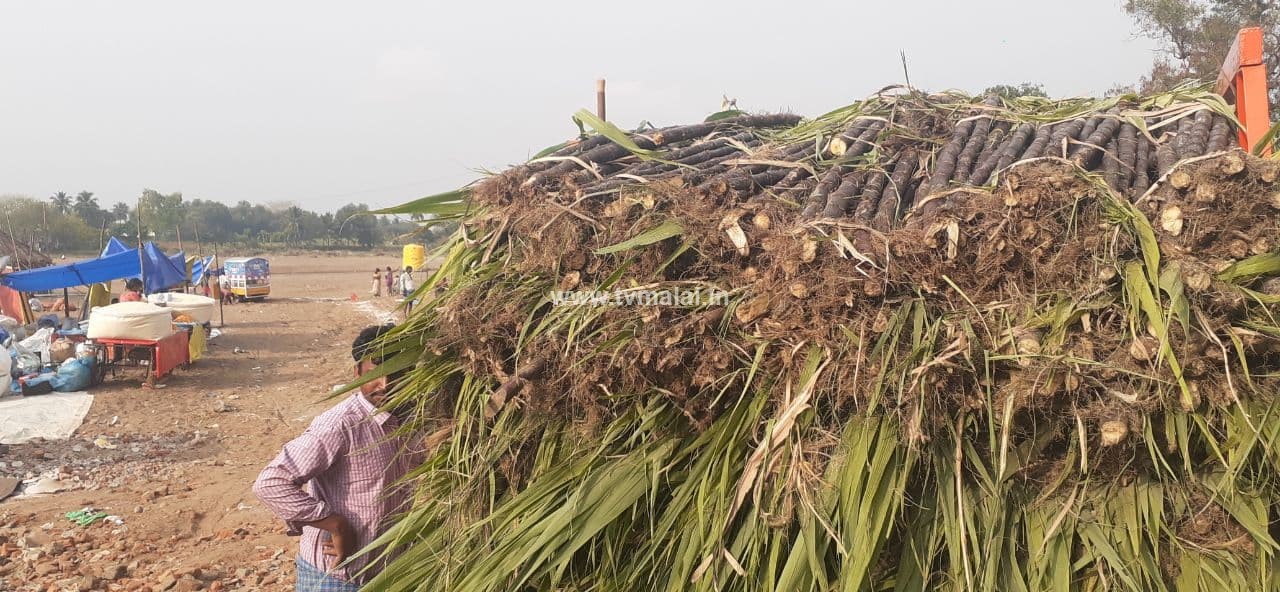 அண்ணாமலையார் ரத சப்தமி தீர்த்தவாரி : செய்யாற்றில் அமைக்கப்பட்டுள்ள திருவிழா கடைகள்!