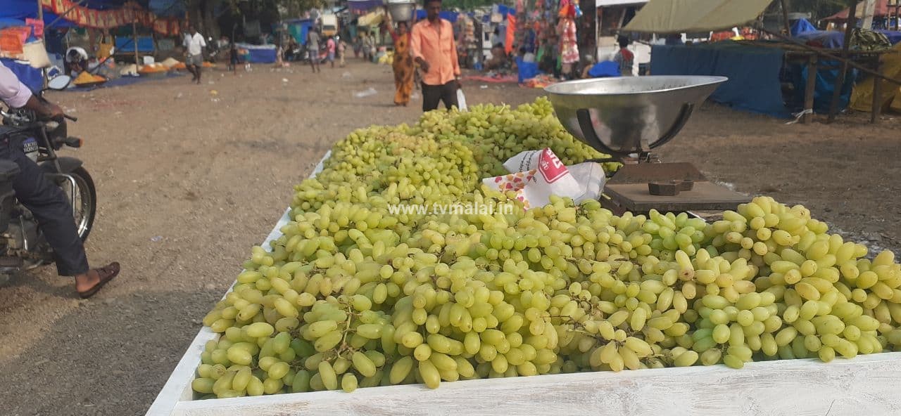 அண்ணாமலையார் ரத சப்தமி தீர்த்தவாரி : செய்யாற்றில் அமைக்கப்பட்டுள்ள திருவிழா கடைகள்!