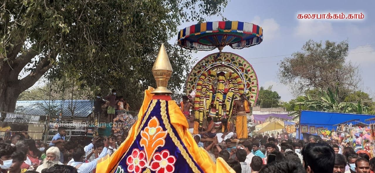 கலசபாக்கம்  செய்யாற்றில் ரதசப்தமி தீர்த்தவாரி: அருணாசலேஸ்வரர், திருமாமுடீஸ்வரர் எழுந்தருளினர்!