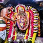 திருவண்ணாமலையில் அருள்மிகு சிவகாம சுந்தரி சமேத நடராஜருக்கு சிறப்பு அபிஷேக  தீபாராதனை!