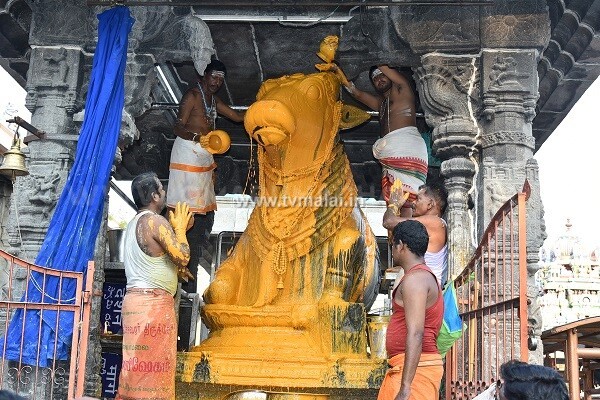 திருவண்ணாமலையில் அருணாசலேஸ்வரர் கோவில் பங்குனி மாத பிரதோஷம்!