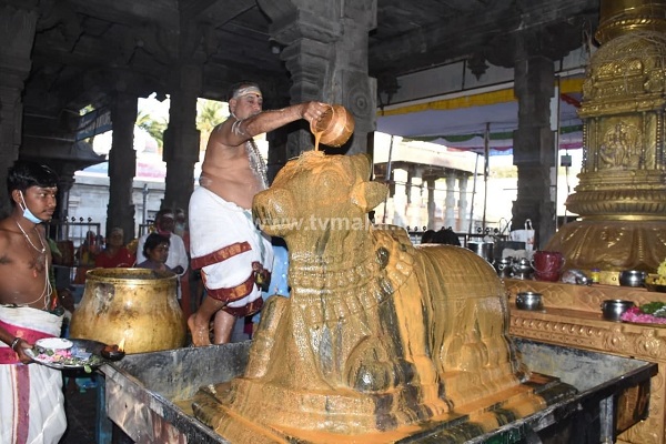 திருவண்ணாமலை அண்ணாமலையார் திருக்கோவில் மாசி மாத பிரதோஷம்!