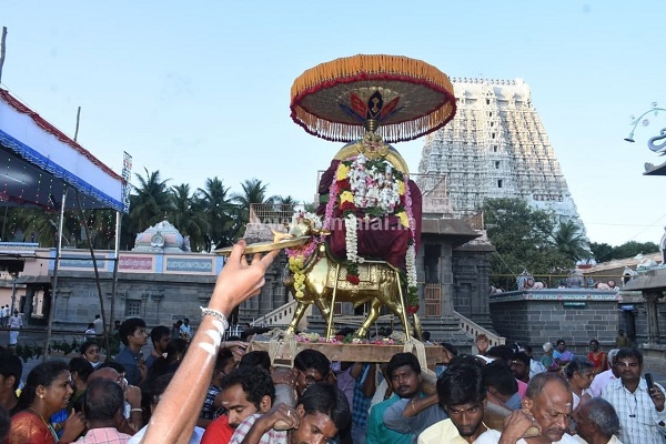 திருவண்ணாமலை அண்ணாமலையார் திருக்கோவில் மாசி மாத பிரதோஷம்!