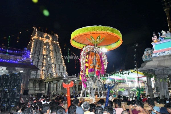 அருள்மிகு அண்ணாமலையார் திருக்கோயில் மகா சிவராத்திரி விழா!