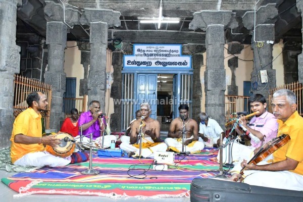 அருள்மிகு அண்ணாமலையார் திருக்கோயில் மகா சிவராத்திரி விழா!