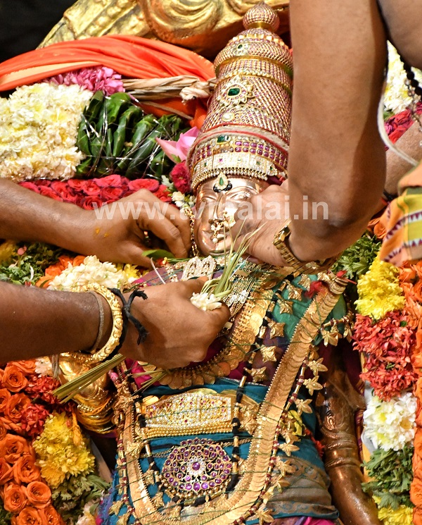 அருள்மிகு அருணாசலேசுவரர் திருக்கோயில் பங்குனி உத்திரம் திருக்கல்யாணம்!