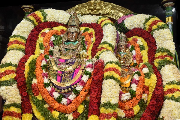 அருள்மிகு அருணாசலேசுவரர் திருக்கோயில் பங்குனி உத்திரம் திருக்கல்யாணம்!