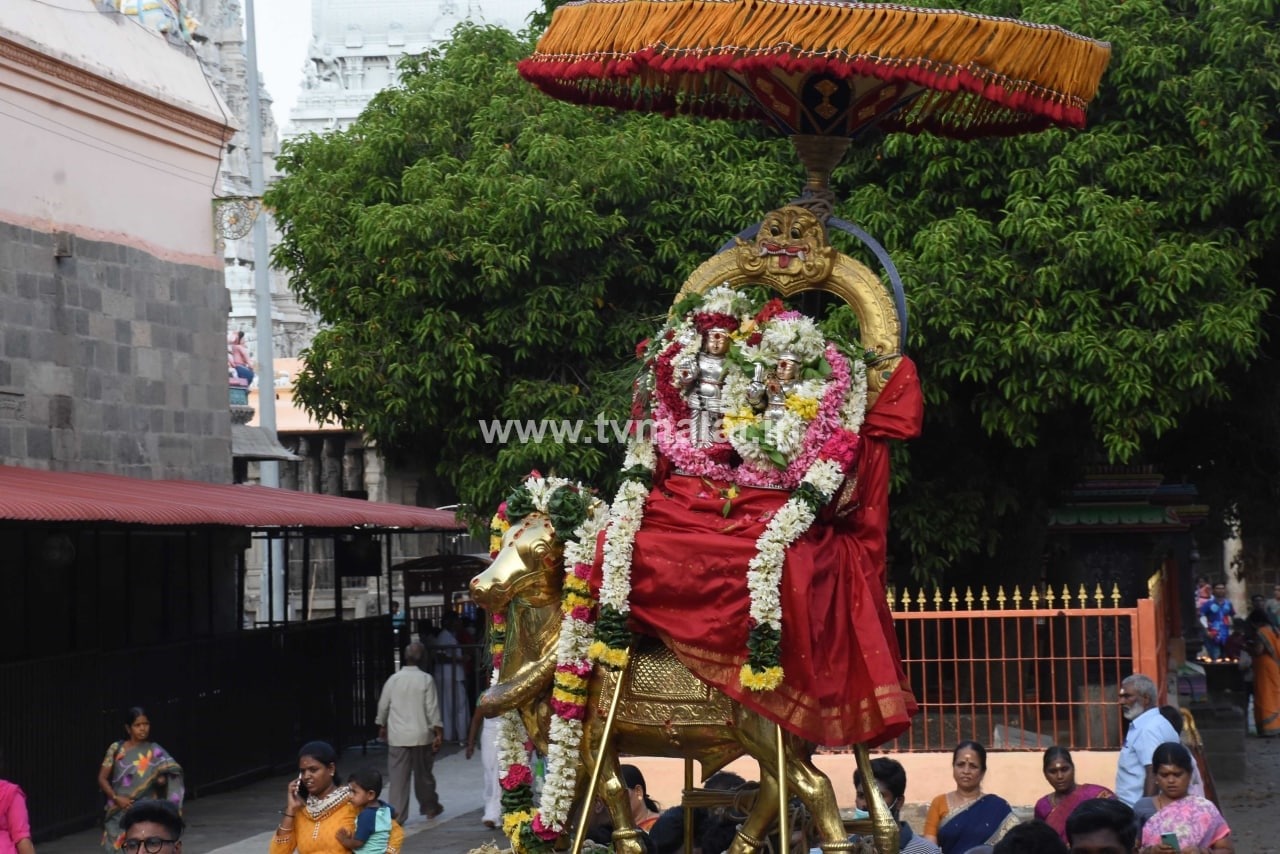 திருவண்ணாமலையில் அருணாச்சலேஸ்வரர் திருக்கோயில் சித்திரை மாத பிரதோஷம்