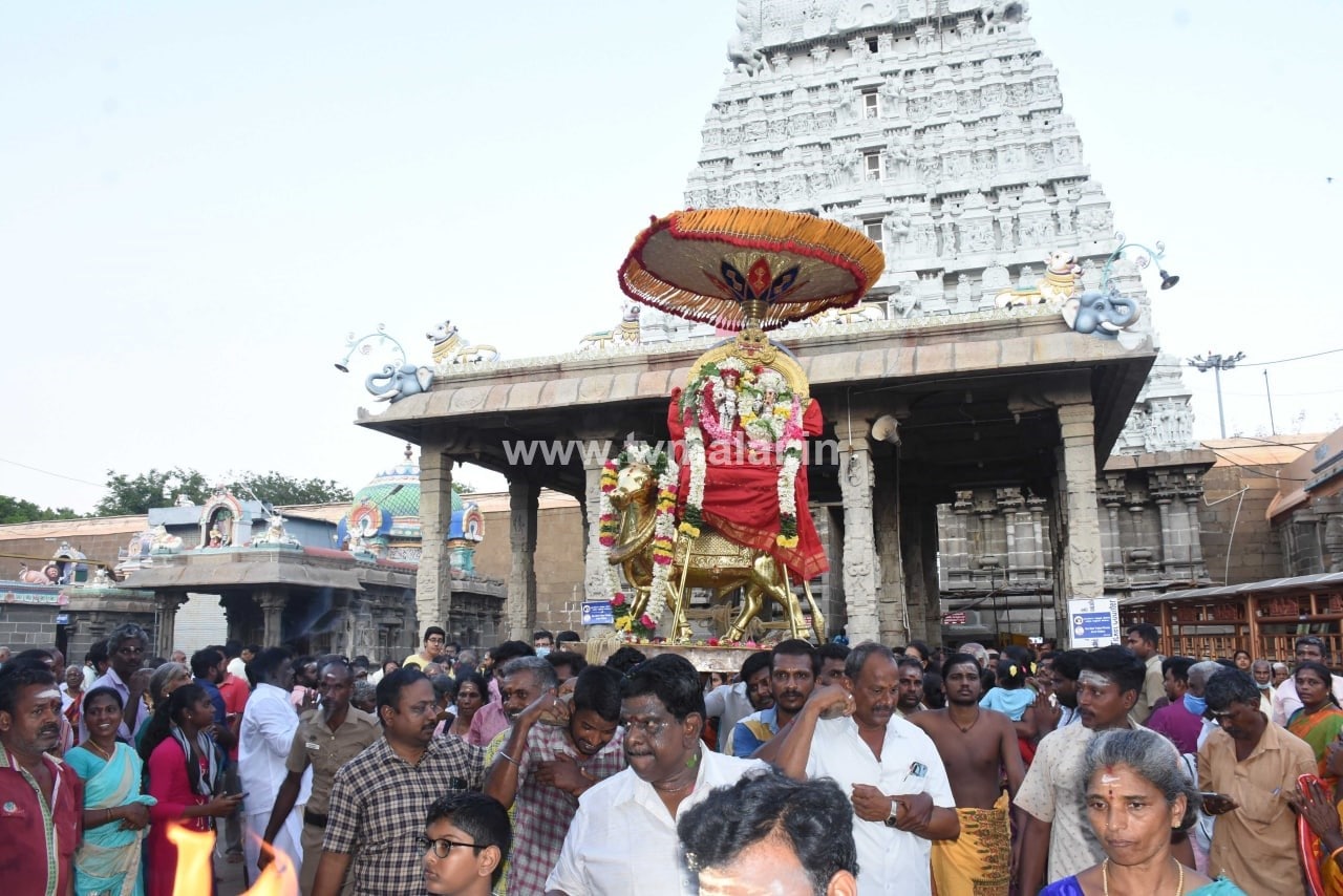 திருவண்ணாமலையில் அருணாச்சலேஸ்வரர் திருக்கோயில் சித்திரை மாத பிரதோஷம்