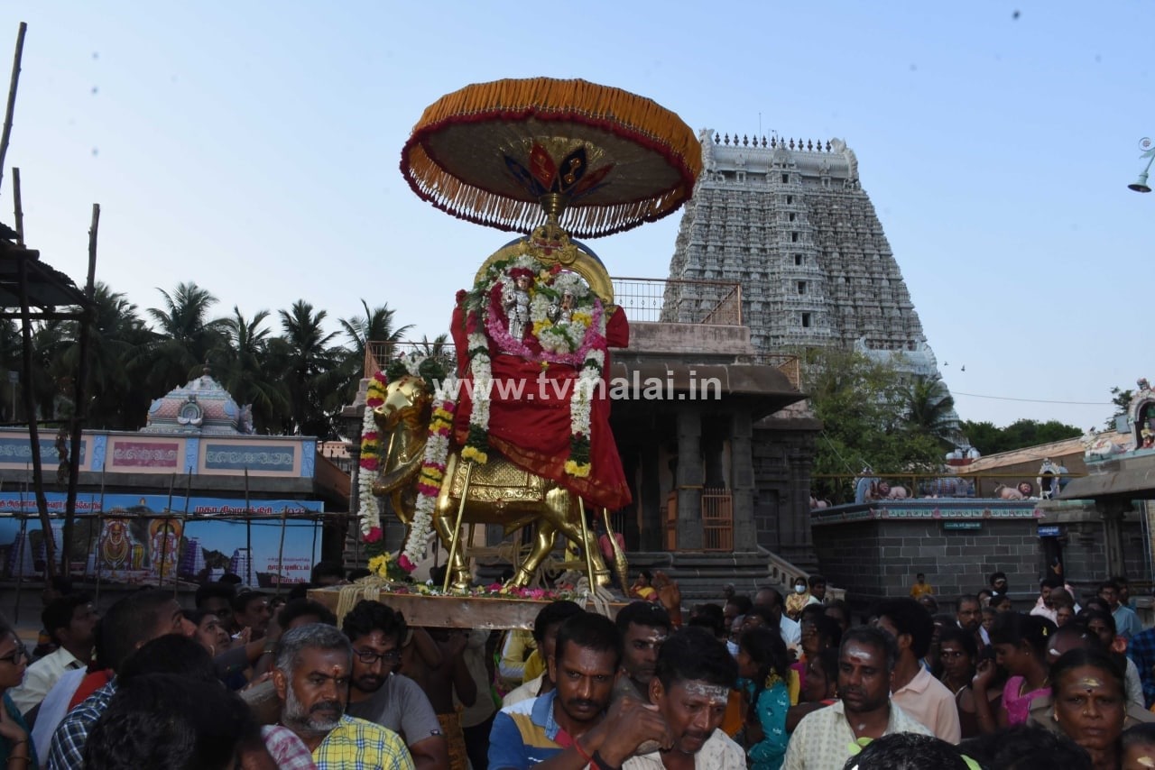 திருவண்ணாமலையில் அருணாச்சலேஸ்வரர் திருக்கோயில் சித்திரை மாத பிரதோஷம்