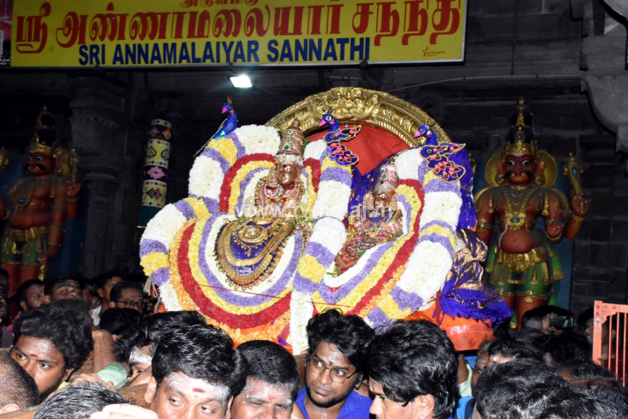 திருவண்ணாமலை அருள்மிகு அருணாசலேஸ்வரர் திருக்கோயில் சித்திரை வசந்த உற்சவம்-Day 3