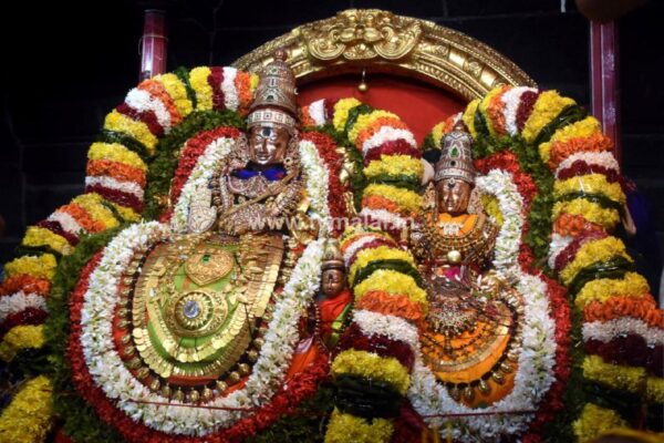 திருவண்ணாமலை அருள்மிகு அருணாசலேஸ்வரர் திருக்கோயில் சித்திரை வசந்த உற்சவம்-Day 4