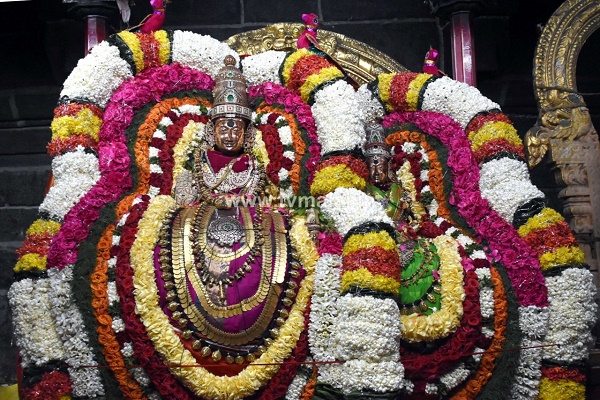 திருவண்ணாமலை அருள்மிகு அருணாசலேஸ்வரர் திருக்கோயில் சித்திரை வசந்த உற்சவம் - Day 7