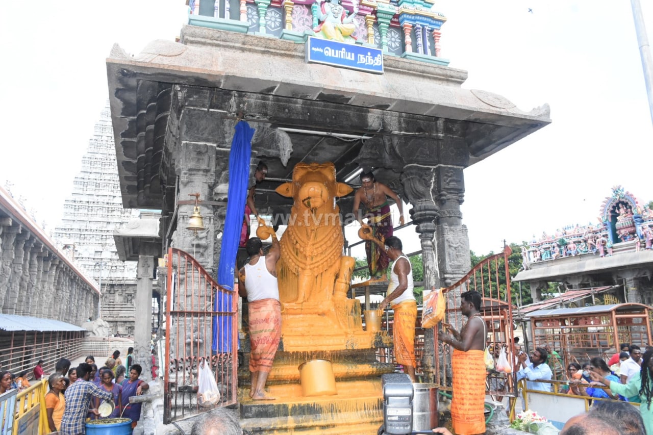 திருவண்ணாமலை அருணாச்சலேஸ்வரர் திருக்கோயில் பௌர்ணமி  பிரதோஷம்!