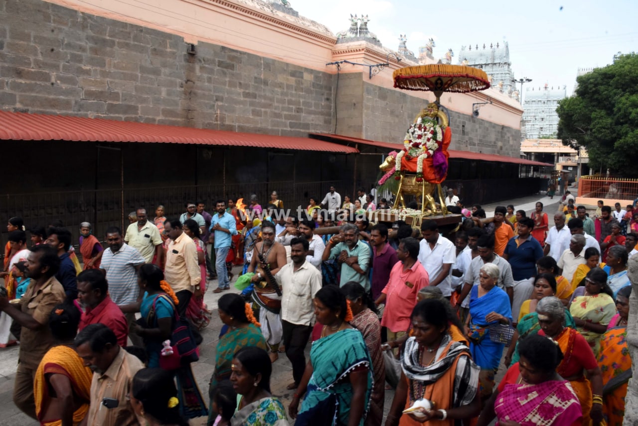 திருவண்ணாமலையில் அருணாச்சலேஸ்வரர் திருக்கோயில் வைகாசி மாத பிரதோஷம்!