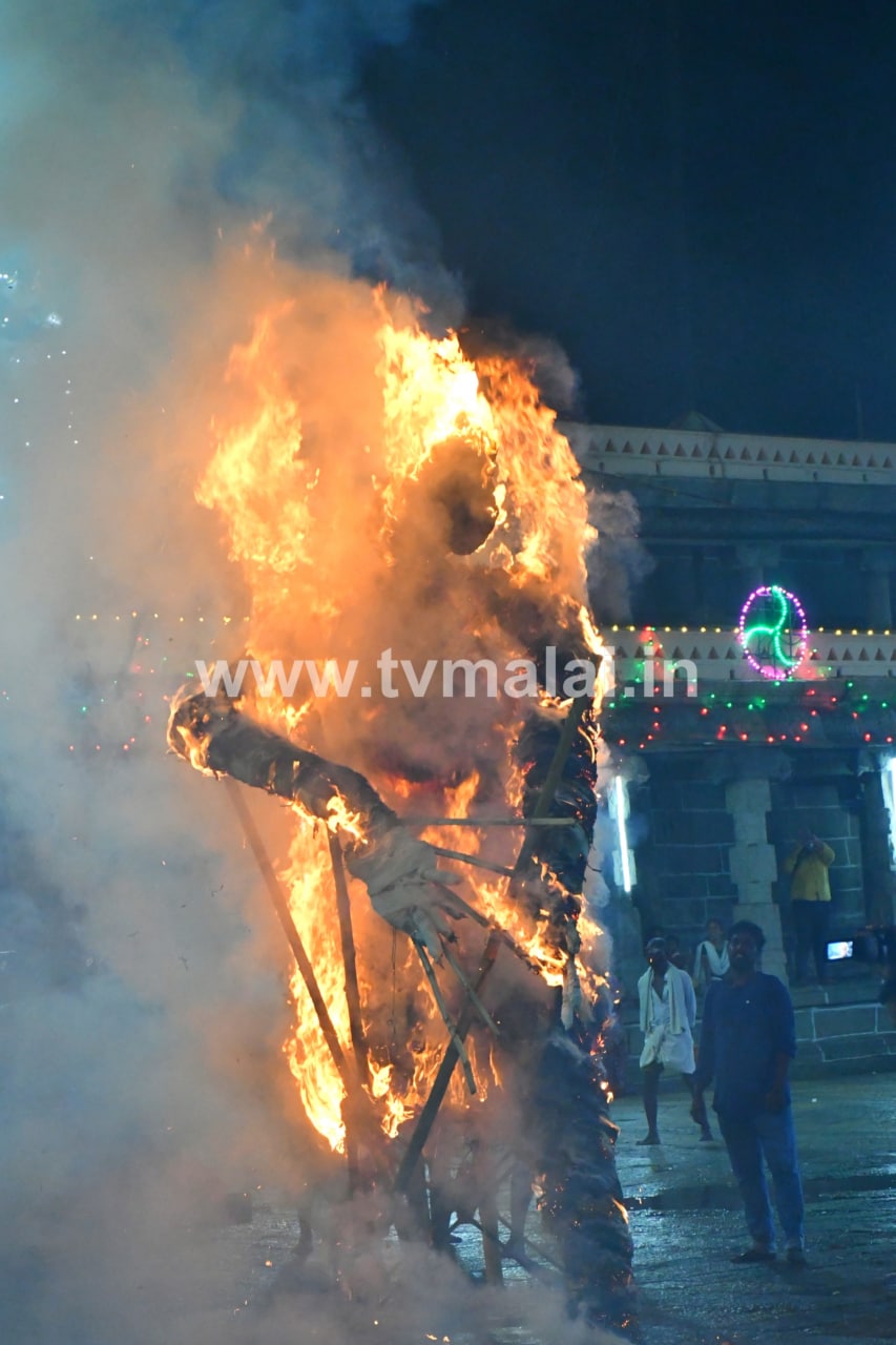 திருவண்ணாமலை அருள்மிகு அருணாசலேஸ்வரர் திருக்கோயில் சித்திரை வசந்த உற்சவம் – Day 10