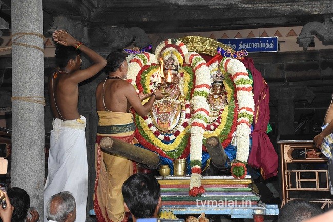 திருவண்ணாமலை அருள்மிகு அருணாசலேஸ்வரர் திருக்கோயில் சித்திரை வசந்த உற்சவம் – Day 9