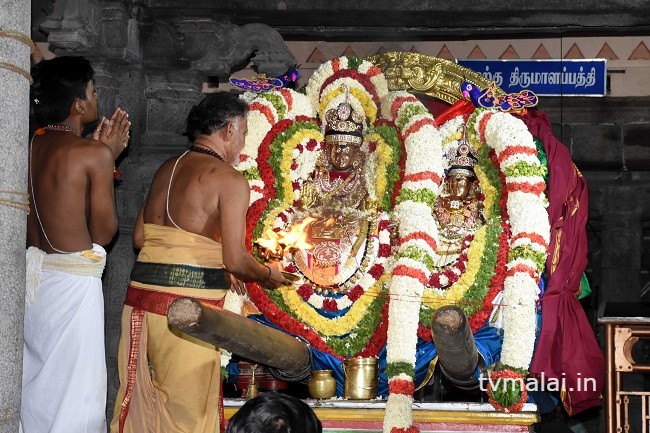 திருவண்ணாமலை அருள்மிகு அருணாசலேஸ்வரர் திருக்கோயில் சித்திரை வசந்த உற்சவம் – Day 9