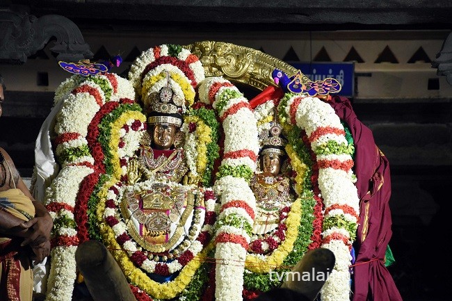 திருவண்ணாமலை அருள்மிகு அருணாசலேஸ்வரர் திருக்கோயில் சித்திரை வசந்த உற்சவம் – Day 9