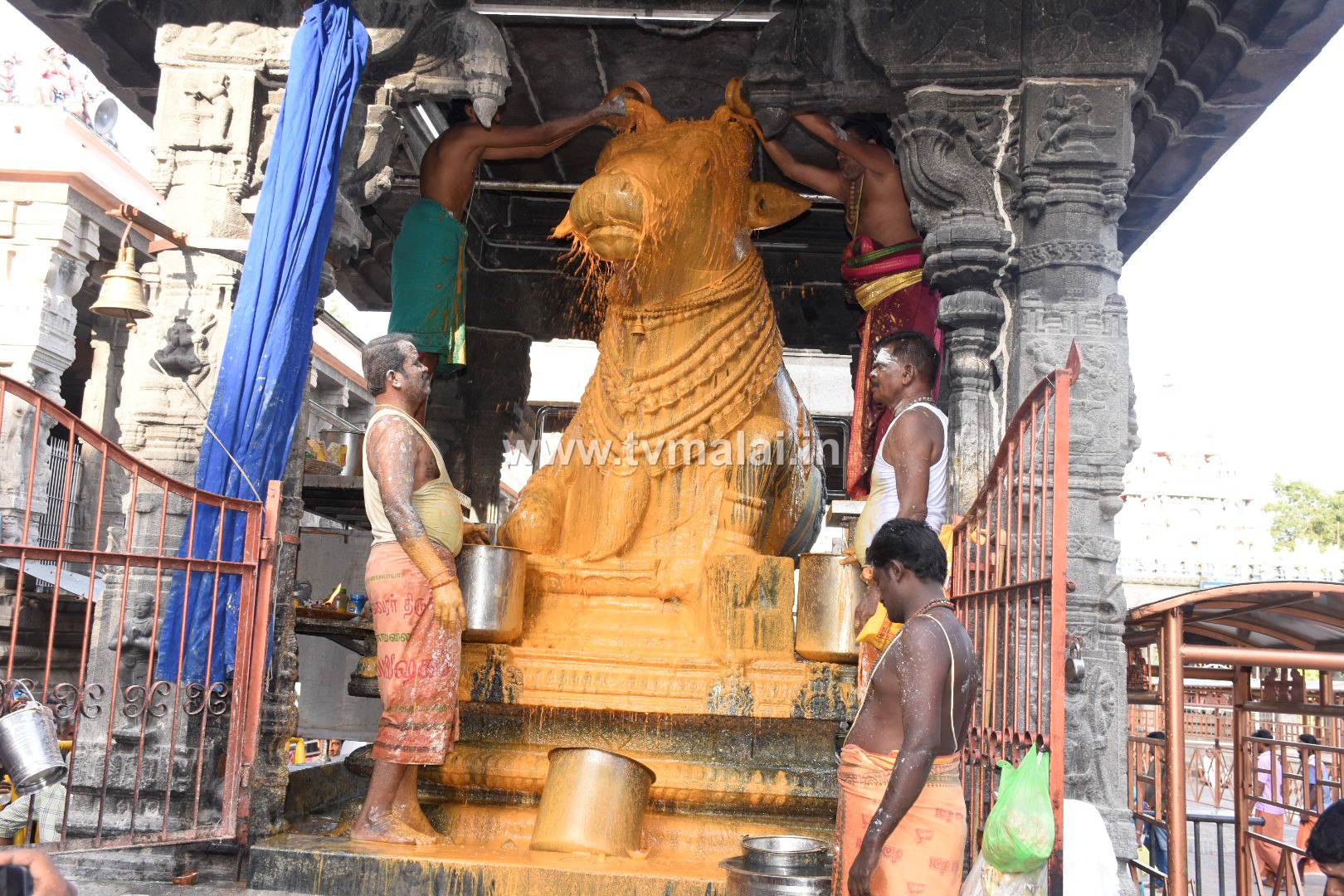 அருணாசலேஸ்வரர் கோவிலில் ஆனி மாத அமாவாசை பிரதோஷ விழா!