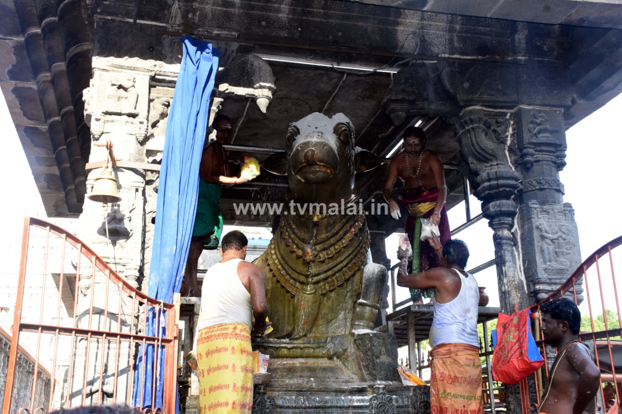 திருவண்ணாமலை அருணாச்சலேஸ்வரர் கோவில் வைகாசி மாத பெளர்ணமி பிரதோஷம்!