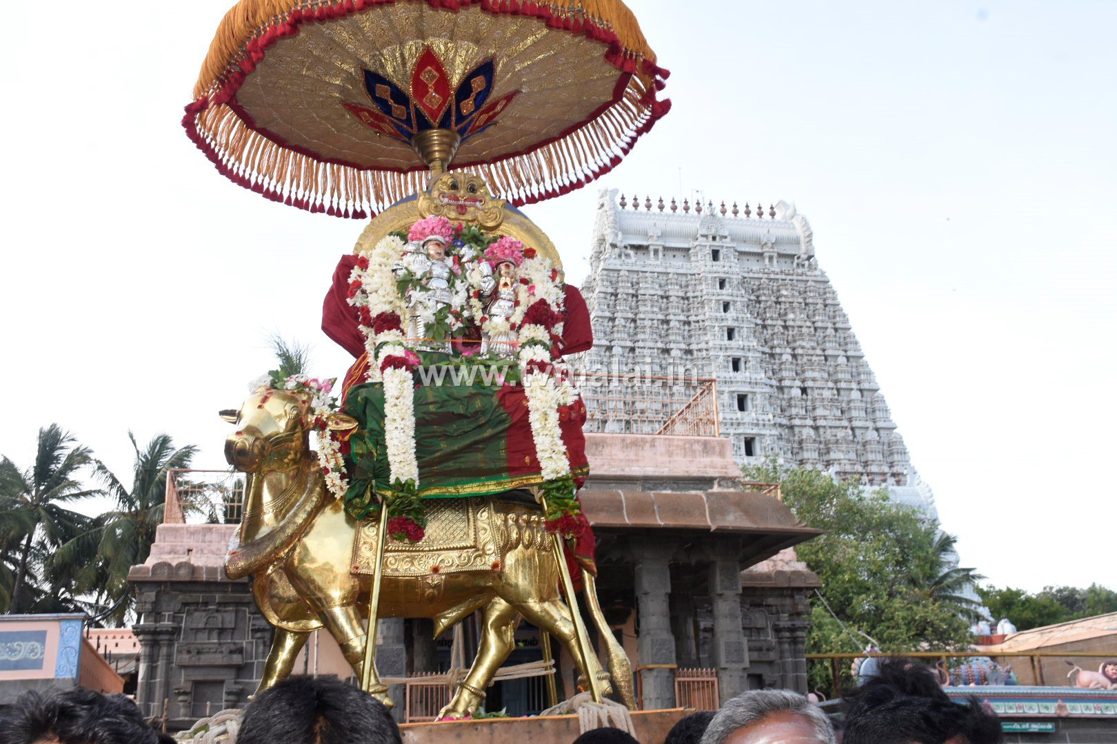 அருணாசலேஸ்வரர் கோவிலில் ஆனி மாத அமாவாசை பிரதோஷ விழா!