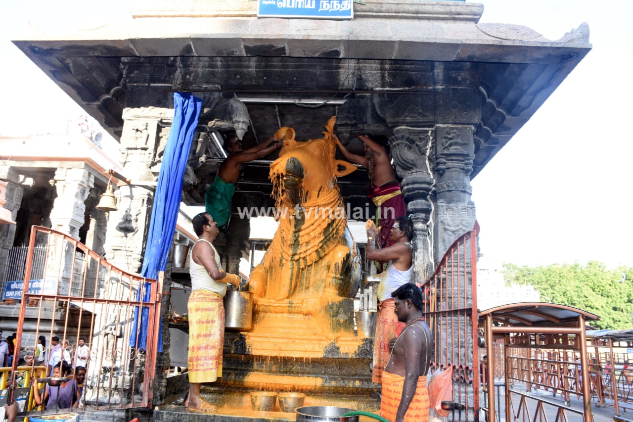 திருவண்ணாமலை அருணாச்சலேஸ்வரர் கோவில் வைகாசி மாத பெளர்ணமி பிரதோஷம்!