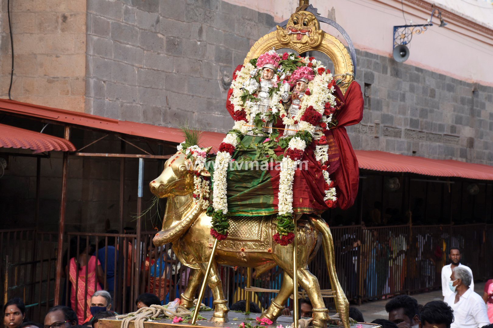 அருணாசலேஸ்வரர் கோவிலில் ஆனி மாத அமாவாசை பிரதோஷ விழா!