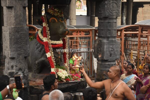 திருவண்ணாமலை அருணாச்சலேஸ்வரர் கோவிலில் ஆடி மாத அமாவாசை பிரதோஷம்!