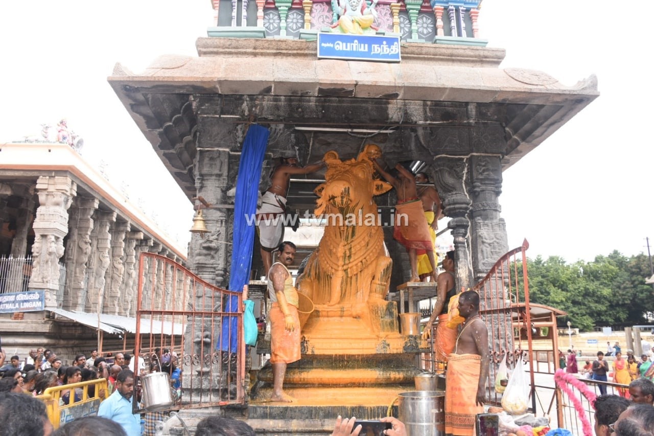 திருவண்ணாமலை அருணாச்சலேஸ்வரர் கோவிலில் ஆடி மாத அமாவாசை பிரதோஷம்!