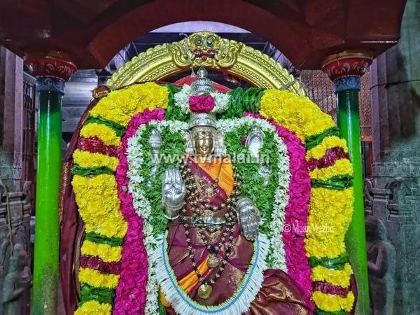 அருள்மிகு அண்ணாமலையார் திருக்கோயிலில் ஆடிப்பூரம் மூன்றாம் நாள் உற்சவம்!