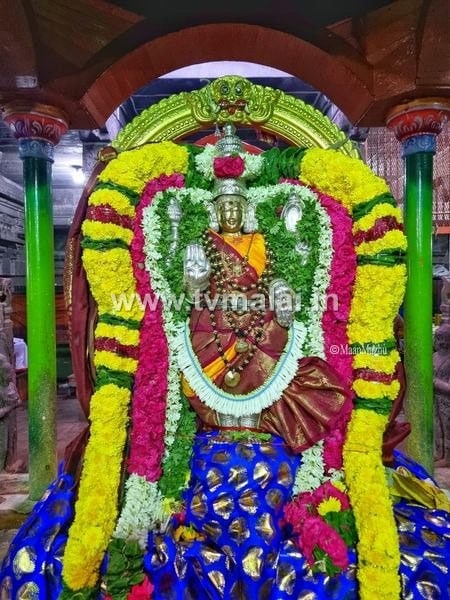 அருள்மிகு அண்ணாமலையார் திருக்கோயிலில் ஆடிப்பூரம் மூன்றாம் நாள் உற்சவம்!