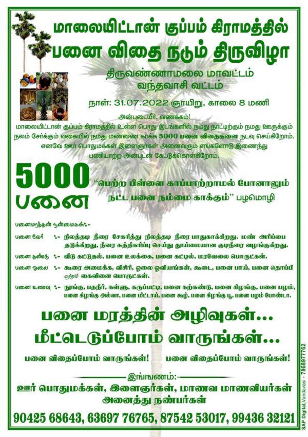 திருவண்ணாமலை மாவட்டம் மாலையிட்டான் குப்பம் கிராமத்தில் பனை விதை நடும் திருவிழா!