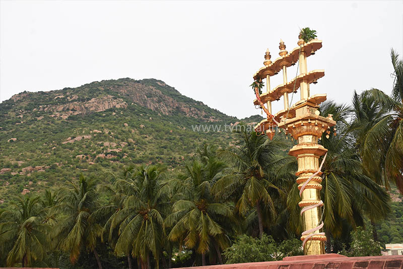 அருள்மிகு அண்ணாமலையார் திருக்கோயிலில் இன்று ஆடிப்பூரம் விழா கொடியேற்றம்!