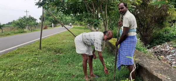 ஆடி 18- ஐ முன்னிட்டு கலசபாக்கம் - பூண்டி சாலையில் விதை பந்துகள் விதைக்கப்பட்டன!