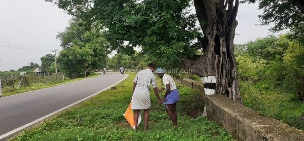 ஆடி 18- ஐ முன்னிட்டு கலசபாக்கம் - பூண்டி சாலையில் விதை பந்துகள் விதைக்கப்பட்டன!