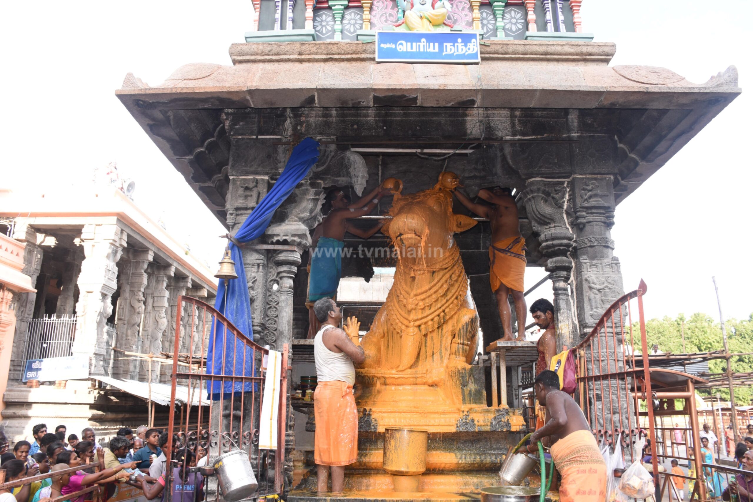 திருவண்ணாமலை அருணாச்சலேஸ்வரர் திருக்கோவிலில் ஆடி மாத பௌர்ணமி பிரதோஷம்!