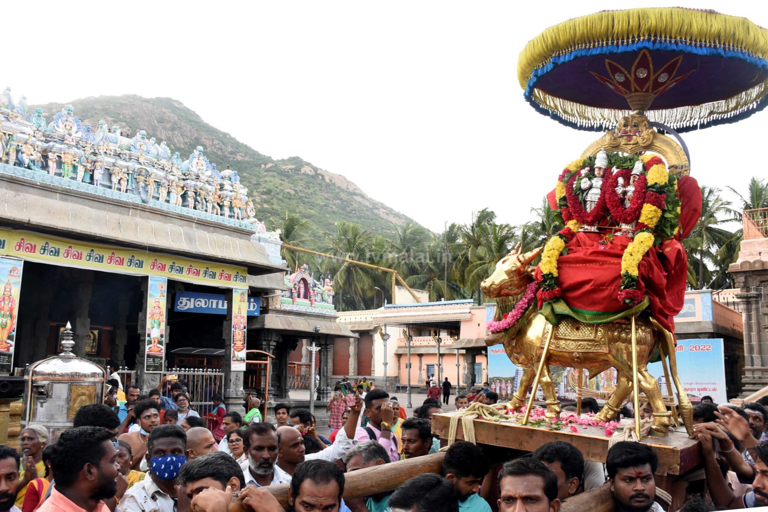 திருவண்ணாமலை அருணாச்சலேஸ்வரர் திருக்கோவிலில் ஆடி மாத பௌர்ணமி பிரதோஷம்!