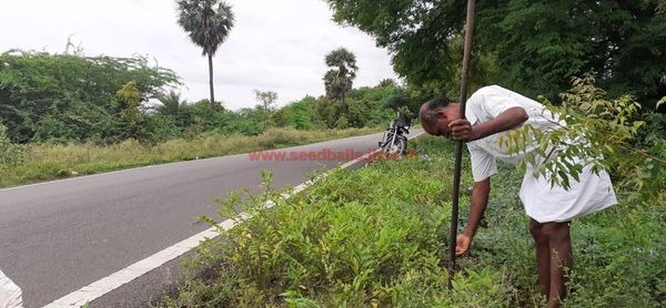 கலசபாக்கம் – காப்பலூர் சாலையில் விதை பந்துகள் விதைக்கப்பட்டன!