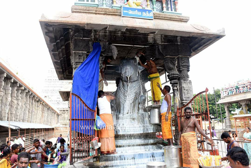 திருவண்ணாமலையில் அருணாச்சலேஸ்வரர் திருக்கோயில் ஆவணி மாத பிரதோஷம்!