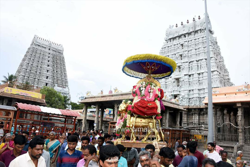 திருவண்ணாமலையில் அருணாச்சலேஸ்வரர் திருக்கோயில் ஆவணி மாத பிரதோஷம்!