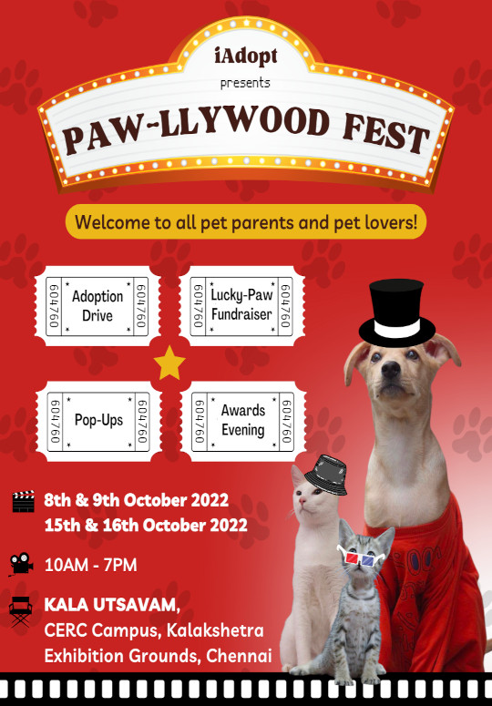 Paw-llywood Fest - give furry friends a home!