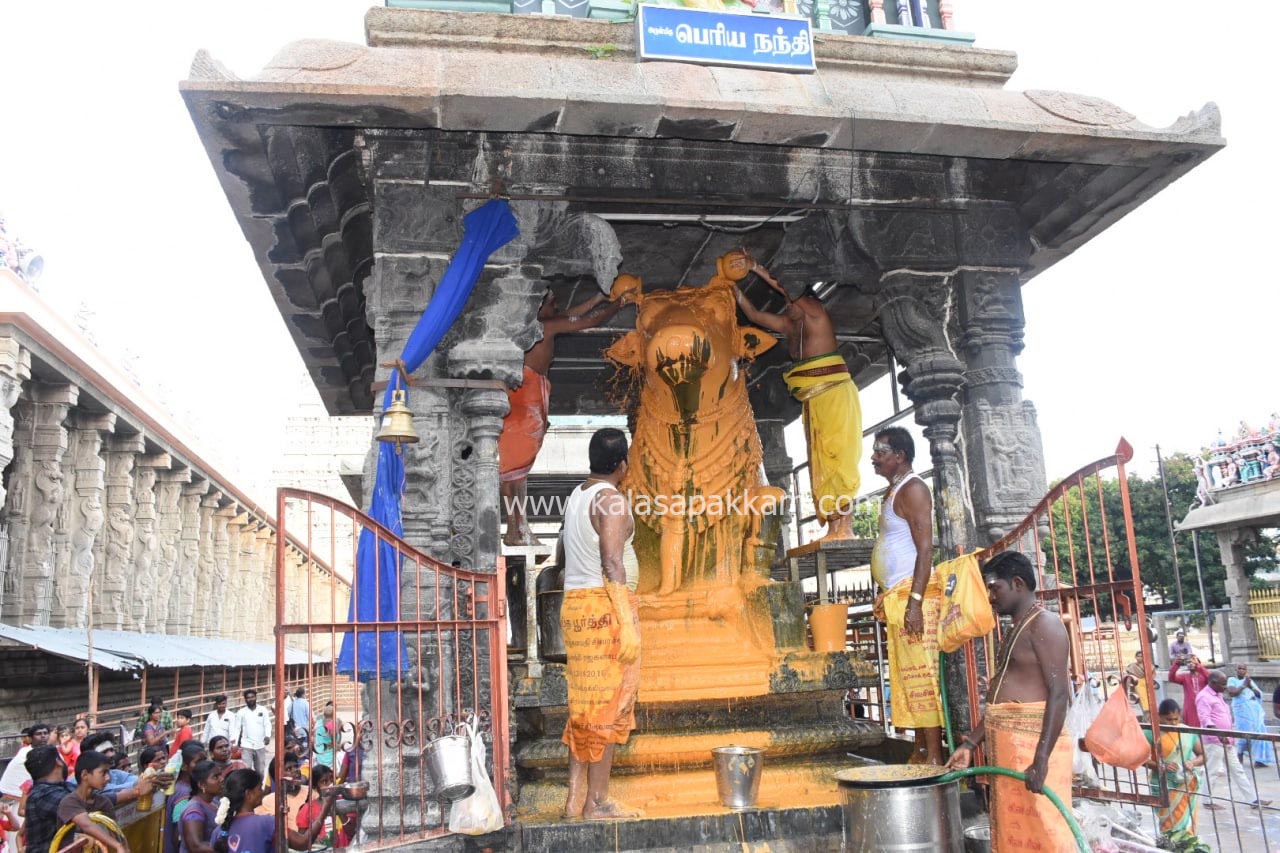 திருவண்ணாமலை அண்ணாமலையார் கோவிலில் புரட்டாசி பௌர்ணமி பிரதோஷ வழிபாடு!